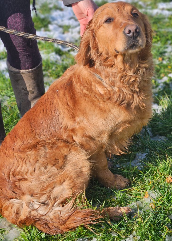 Twix Des Fields D'Austrasie
